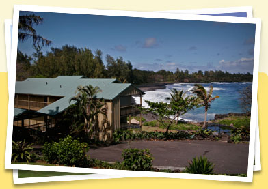 Photo of Hana Kai