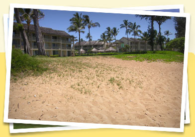 Photo of Islander on the Beach